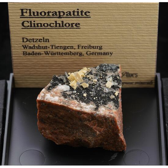 Fluorapatite Chamosite Pyrite Quartz & Adularia