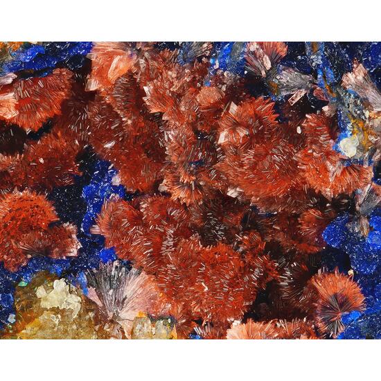 Erythrite & Azurite