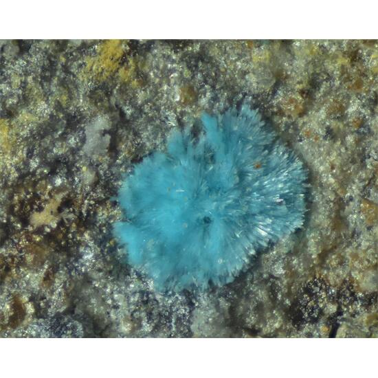 Kapellasite
