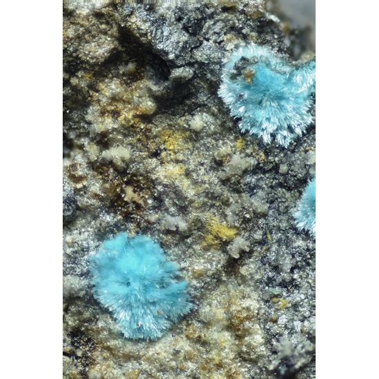 Kapellasite