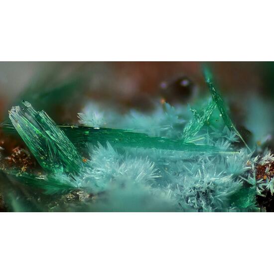 Brochantite Paratacamite Herbertsmithite Aurichalcite