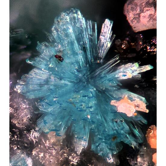 Fehrite