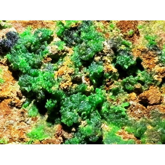 Conichalcite