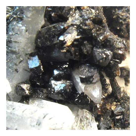 Cassiterite