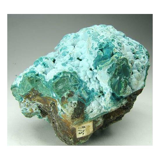 Chrysocolla Asperolite & Malachite