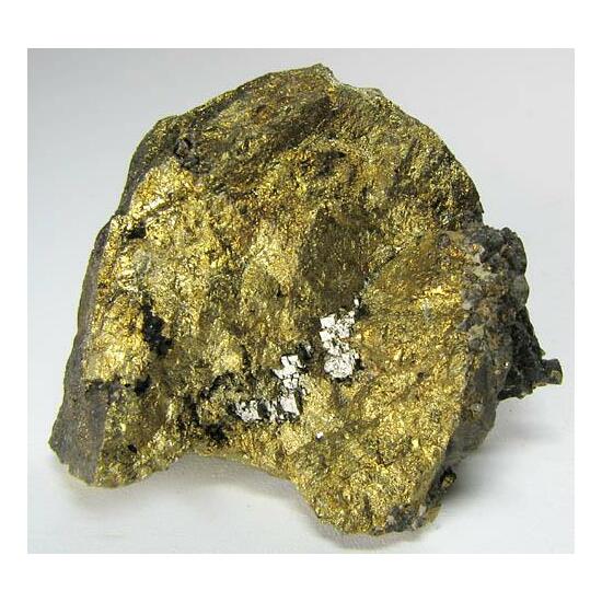 Bravoite & Chalcopyrite