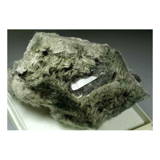 Actinolite Var Byssolite & Quartz