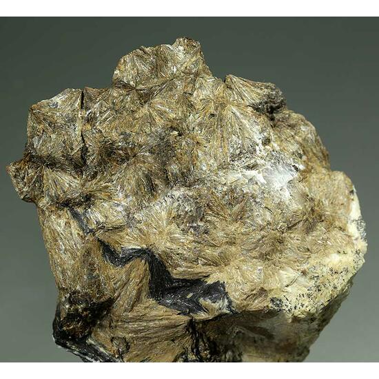 Bustamite