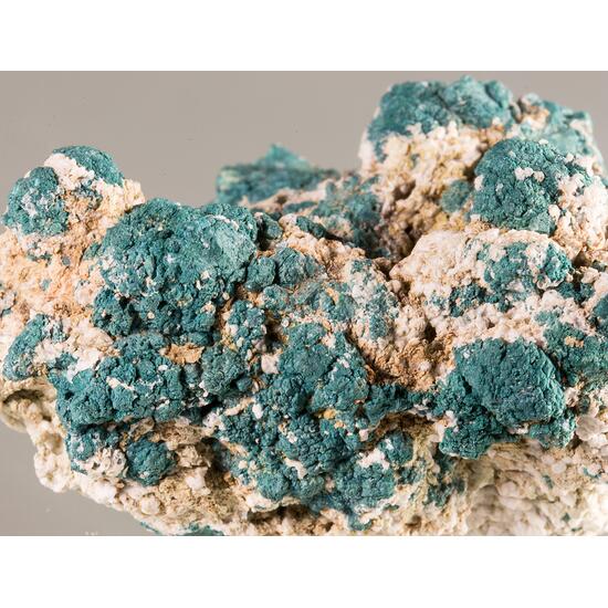 Paratacamite