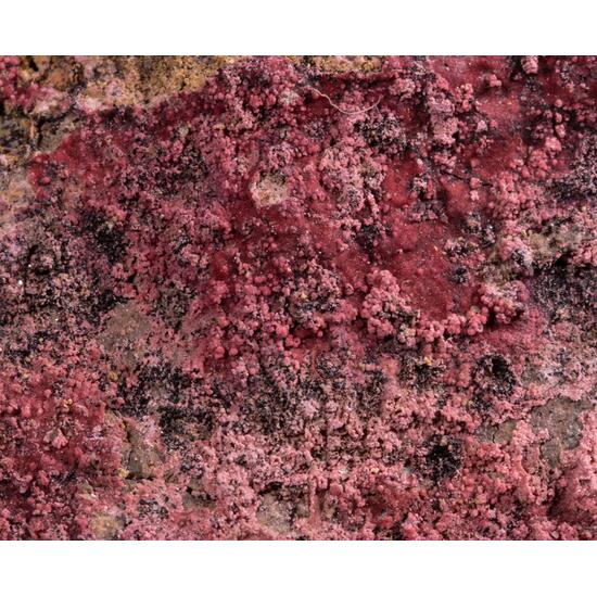 Erythrite