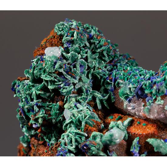 Azurite & Malachite Psm Azurite