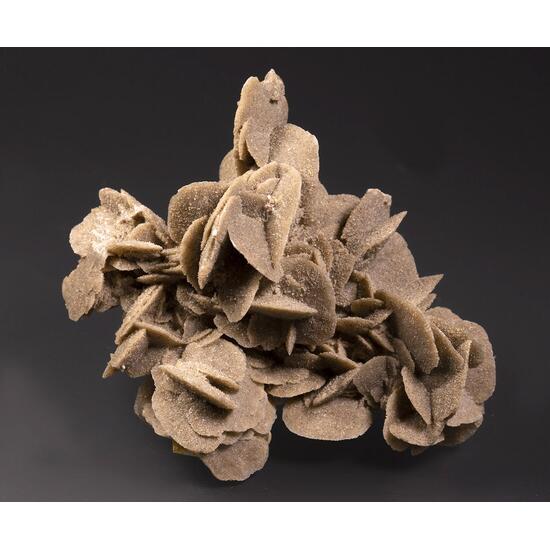 Gypsum Var Desert Rose