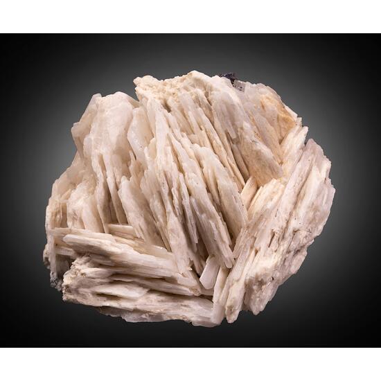 Baryte & Galena