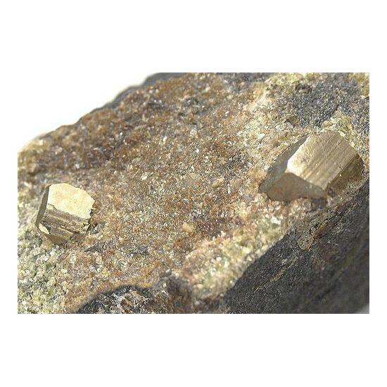 Pyrite With Chamosite