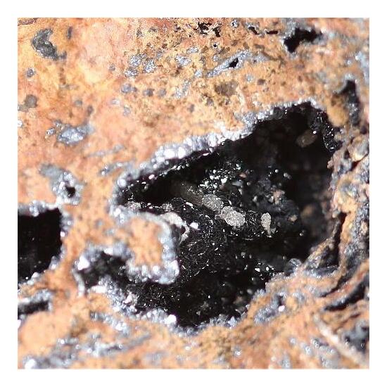 Hetaerolite With Chalcophanite