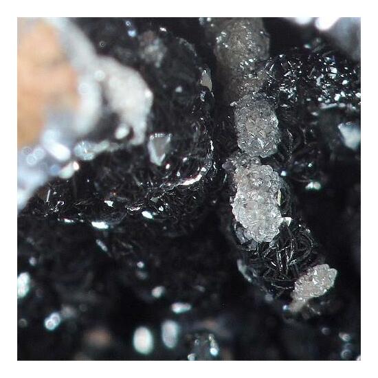 Hetaerolite With Chalcophanite