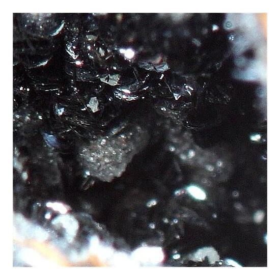 Hetaerolite With Chalcophanite
