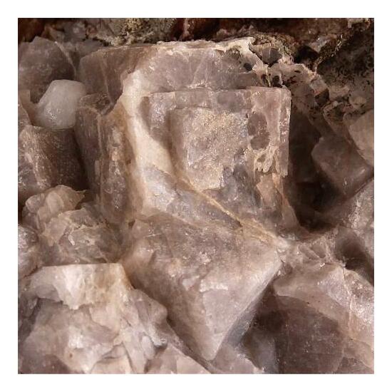 Quartz Psm Apophyllite
