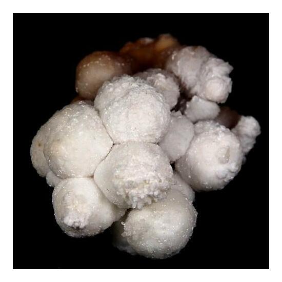 Aragonite