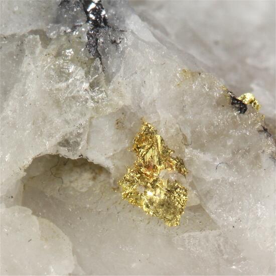 Gold With Galena