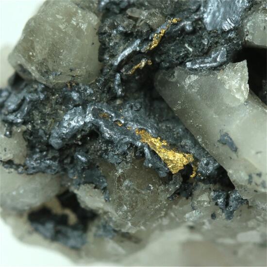 Gold With Molybdenite