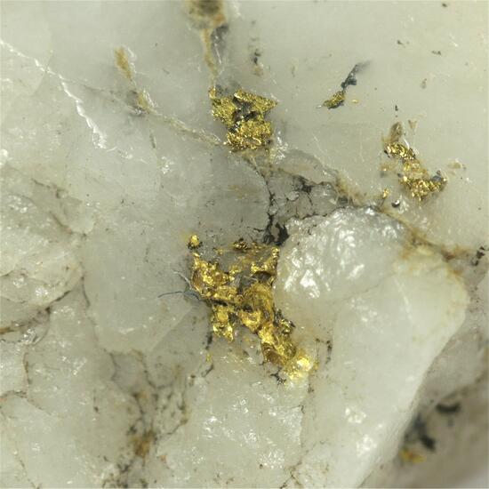 Gold With Pyrite