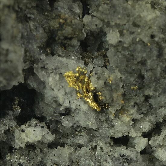 Gold With Pyrite & Chalcopyrite