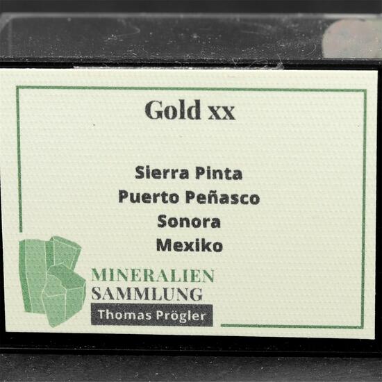 Gold With Galena