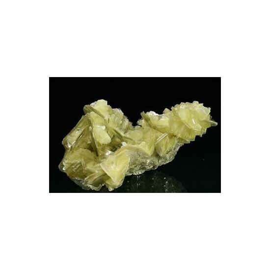 Muscovite