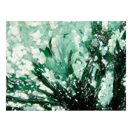 Atacamite Olivenite & Picropharmacolite