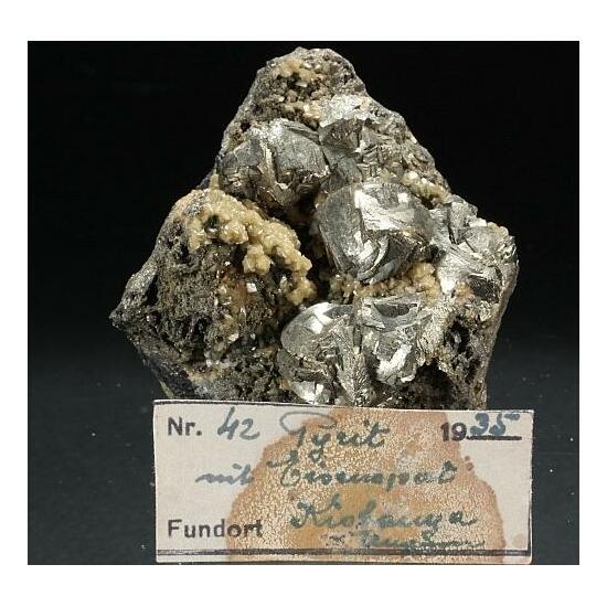 Pyrite & Siderite