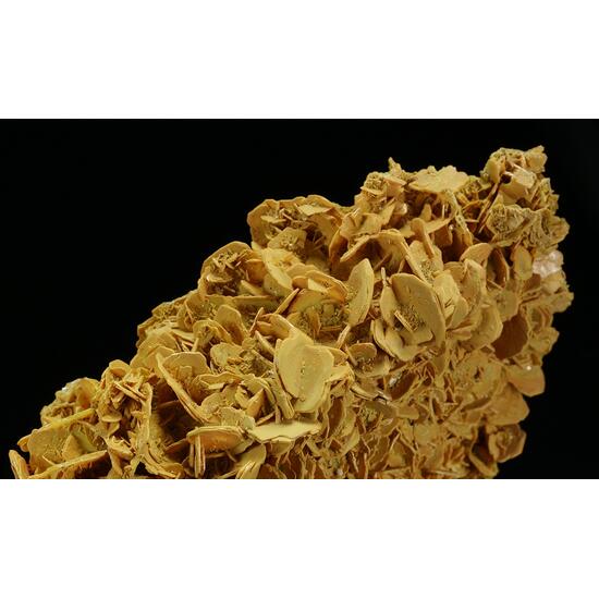 Wulfenite