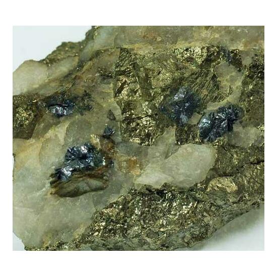 Molybdenite With Pyrite