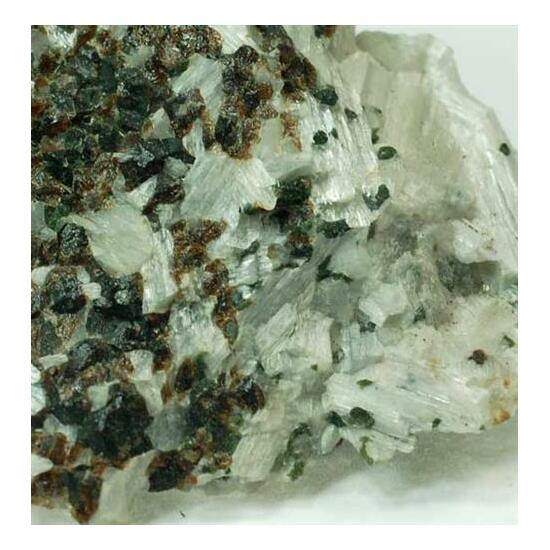 Andradite & Vesuvianite In Tremolite