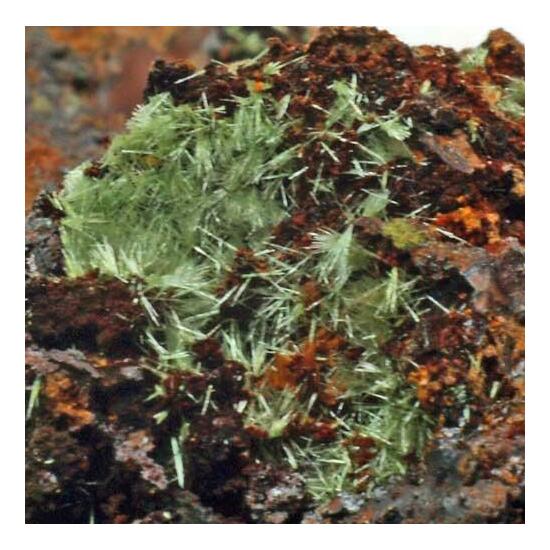 Zincian Olivenite