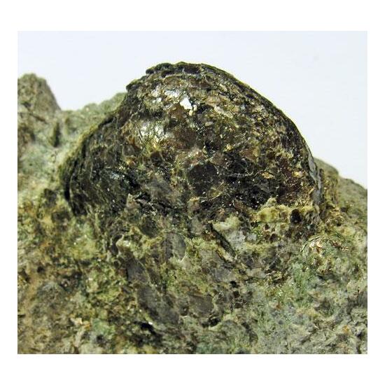 Anthophyllite & Phlogopite