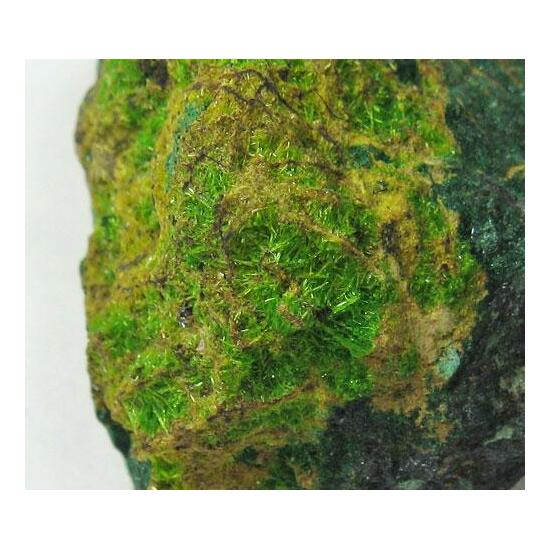 Cuprosklodowskite In Uranophane