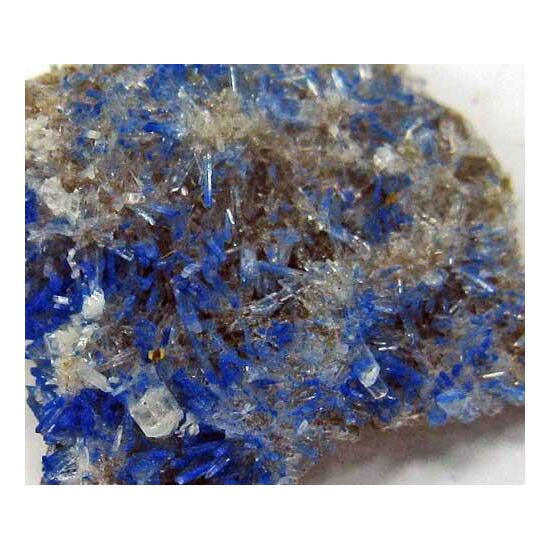 Azurite On Gypsum