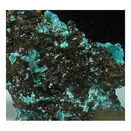 Aurichalcite