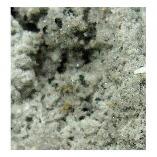 Holfertite