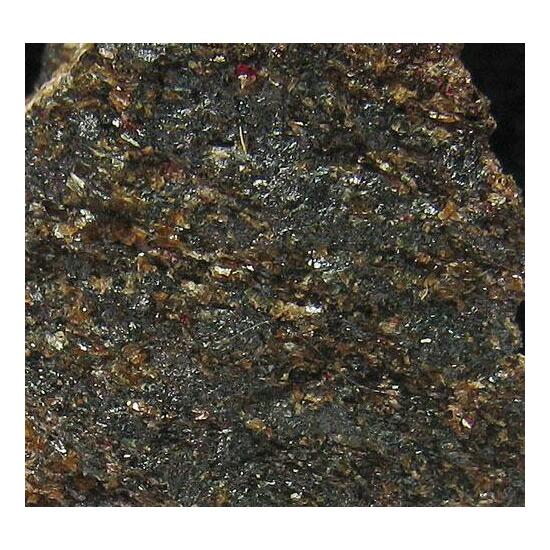 Kentrolite