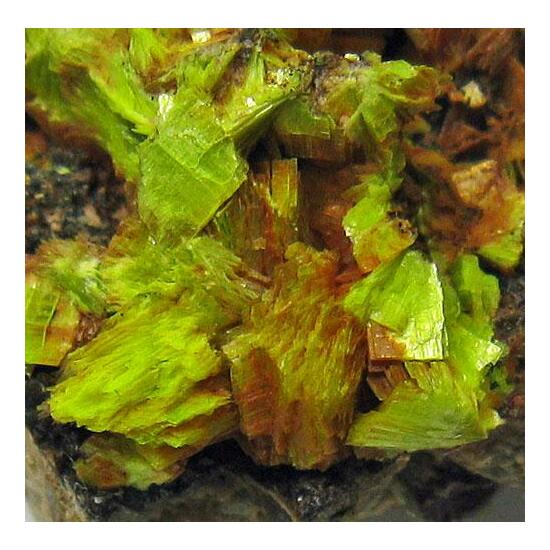 Meta-autunite