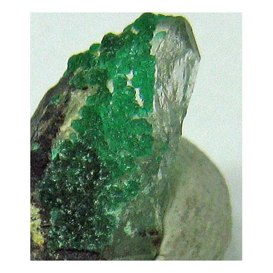 Philipsburgite