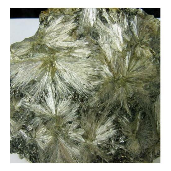 Anthophyllite