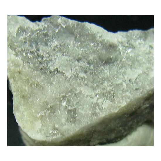 Fleischerite