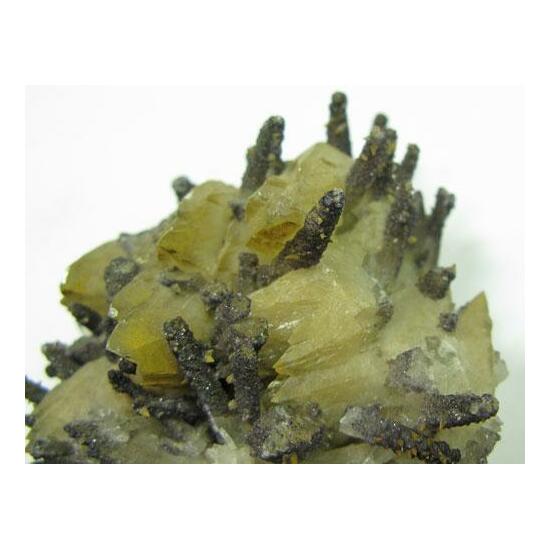 Fluorite On Calcite