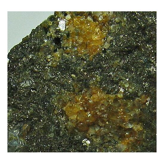 Glaucodot