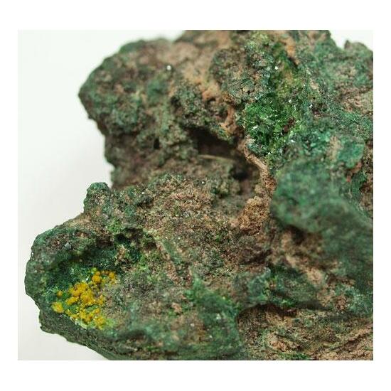 Metatorbernite & Uranophane & Malachite