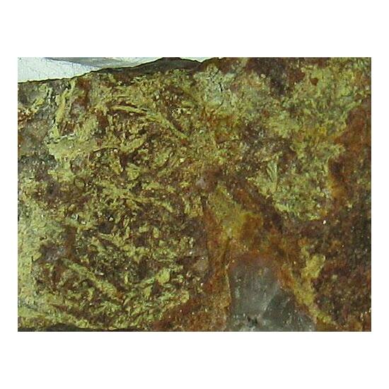 Preisingerite