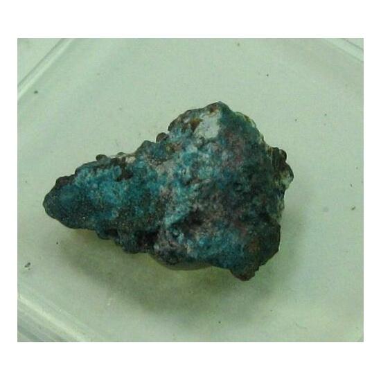 Chalcomenite & Cobaltomenite